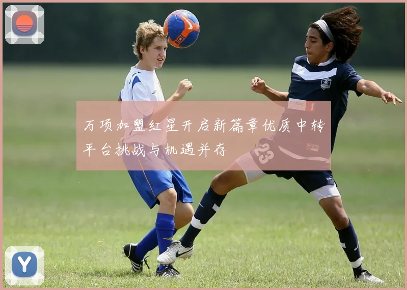 万项加盟红星开启新篇章优质中转平台挑战与机遇并存