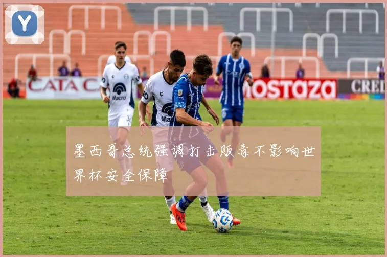 墨西哥总统强调打击贩毒不影响世界杯安全保障